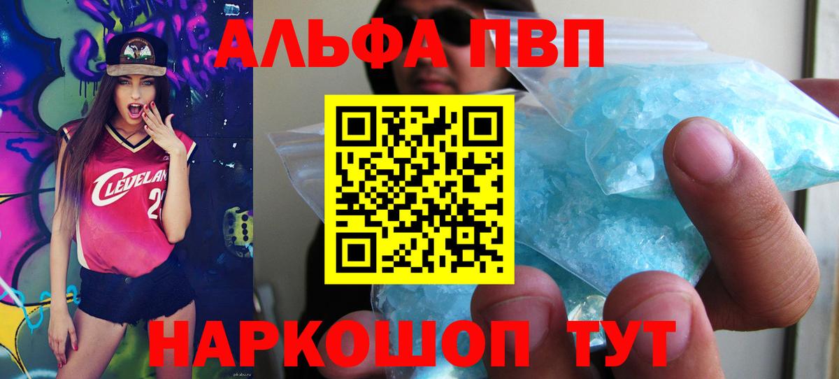 Alfa_PVP СК Череповец