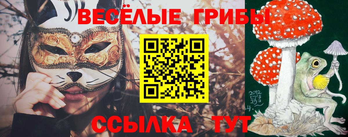 Галлюциногенные грибы GOLDEN TEACHER Череповец