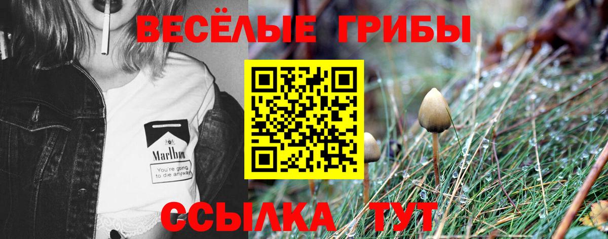 цены наркотик  Вход с VPN  Череповец  Галлюциногенные грибы прущие грибы 